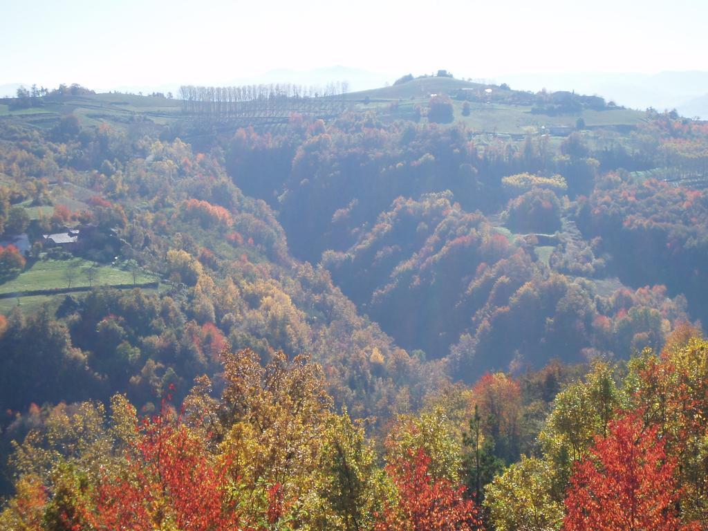 Navilla Apartment Torresina